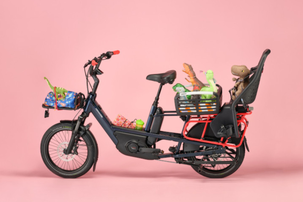 Cannondale Cargowagen Neo 1