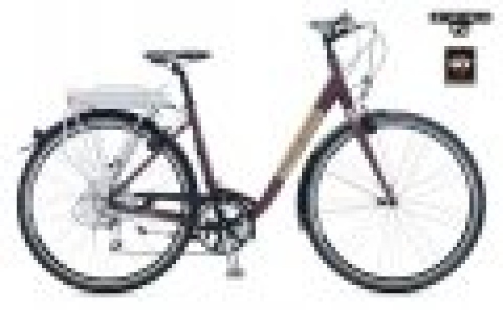 Villiger : Action sp&eacute;ciale : Chf.350.- pour une 2&egrave;me batterie !