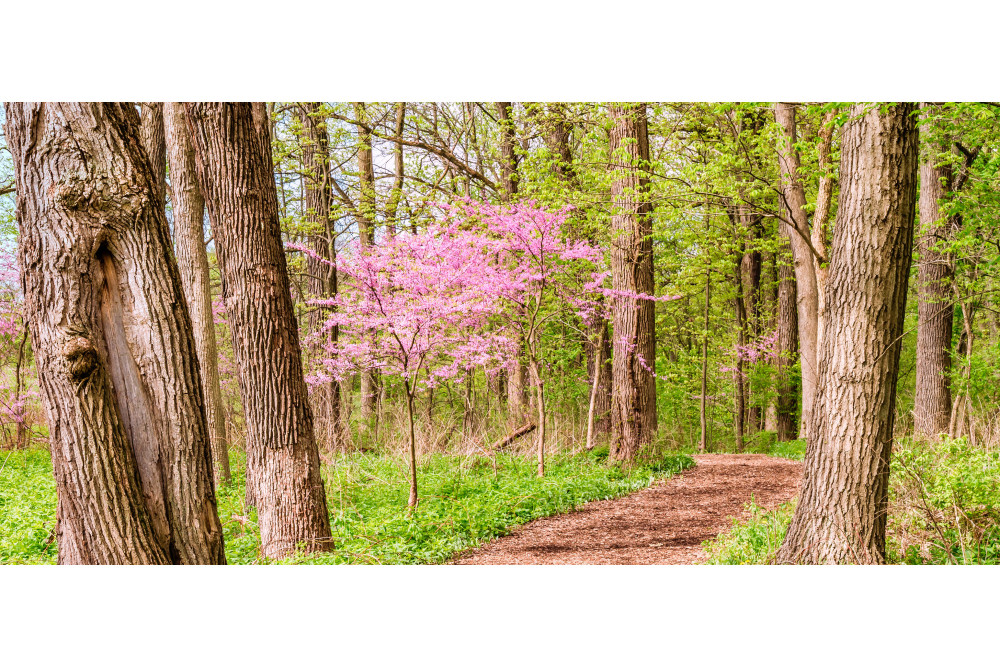 Ces mod&egrave;les tant demand&eacute;s et qui sont d&eacute;j&agrave; sold out.... chez easycycle, nous les avons en stock !
