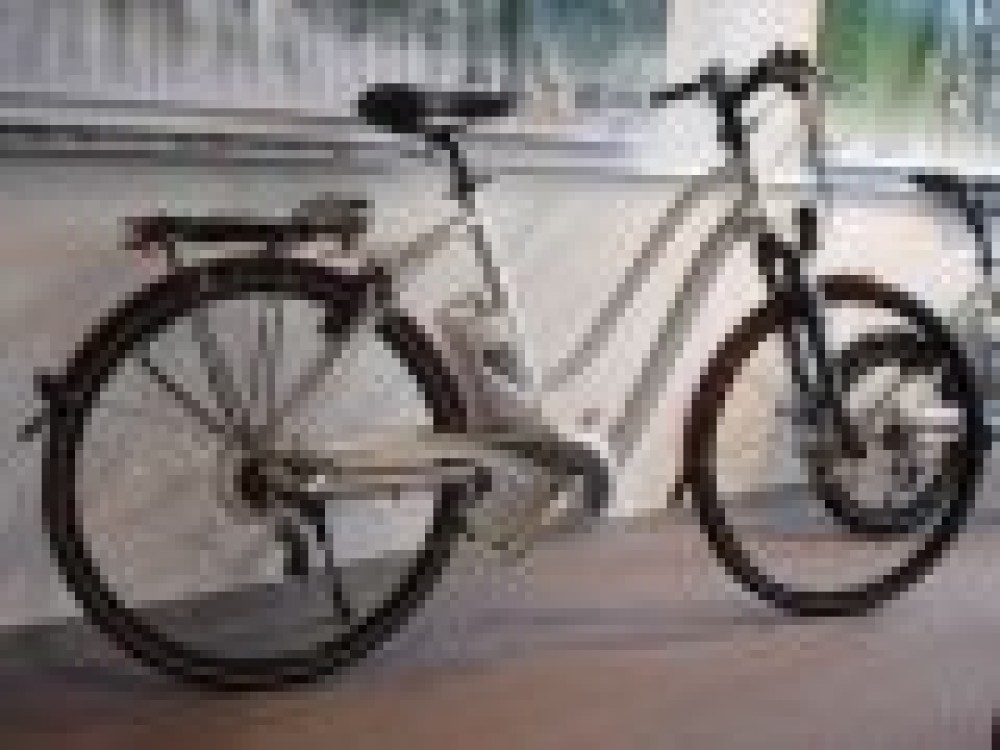 Flyer 2009 : La s&eacute;rie L